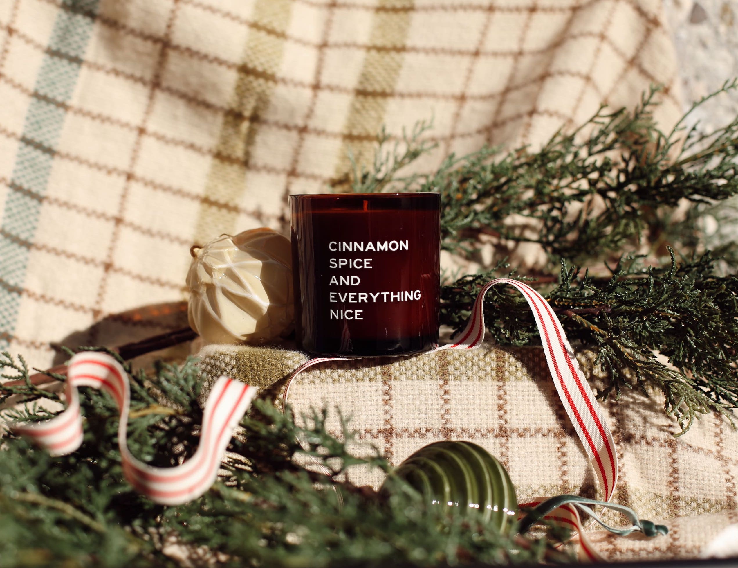 Cinnamon Spice and Everything Nice Candle (10oz)